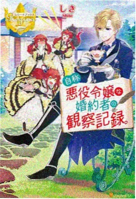 花嫁高柳家动漫口碑评分